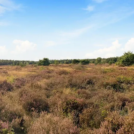 Hébergement de vacances Luxurious In With Wifi Voorthuizen