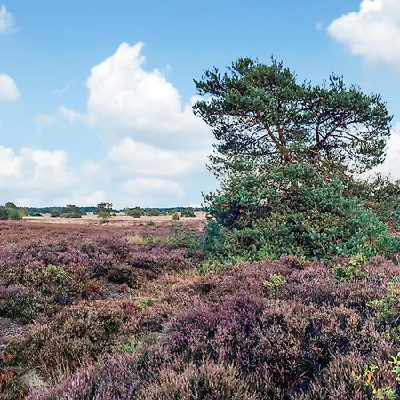 Luxurious In With Wifi * Voorthuizen