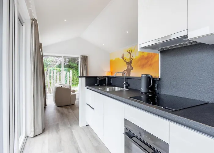 Luxurious In With Wifi