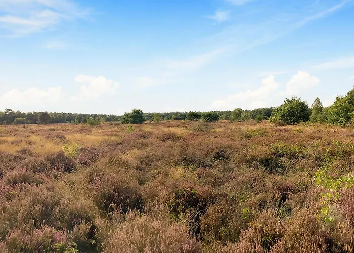 Semesterbostad Luxurious In With Wifi Voorthuizen