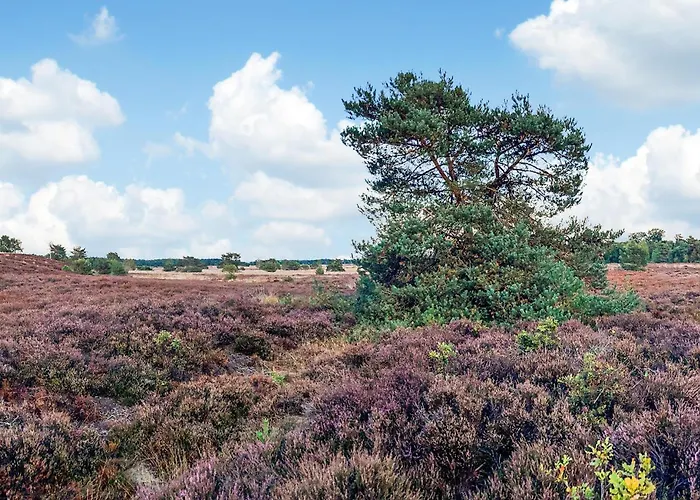 Luxurious In With Wifi * Voorthuizen